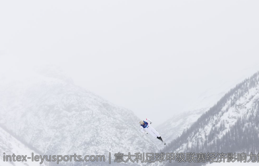 意大利足球甲级联赛经济影响力解析