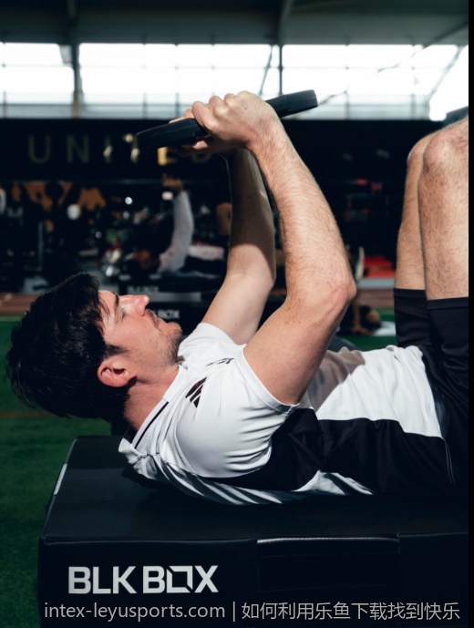 如何利用乐鱼下载找到快乐